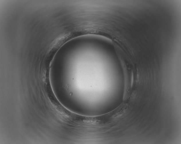 X0000077310693200610201153