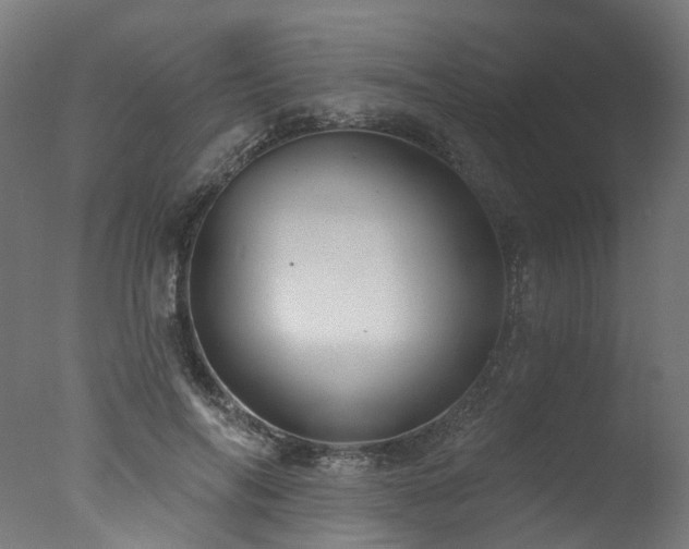 X0000077310694200610201153