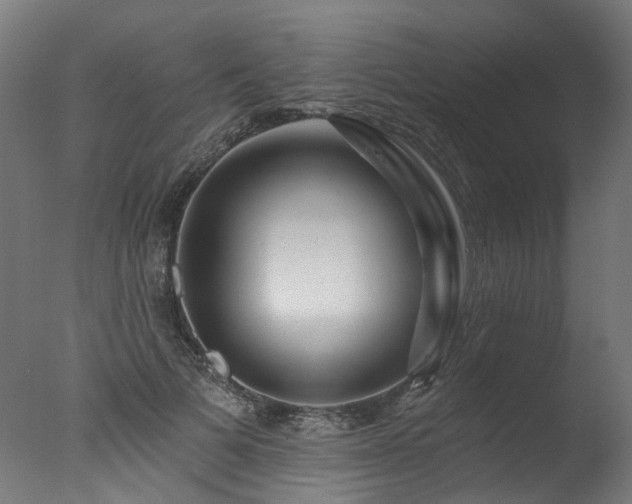 X0000077310697200610201153