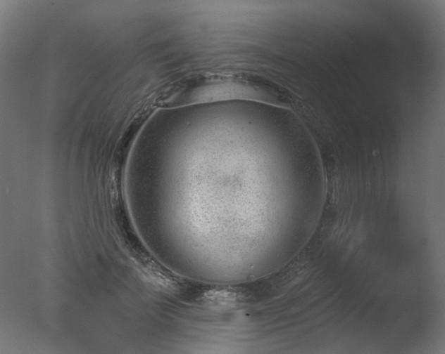 X0000077310699200610201153