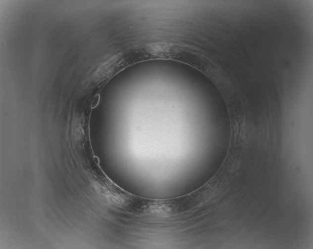 X0000077310702200610201153