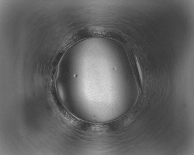 X0000077310707200610201153