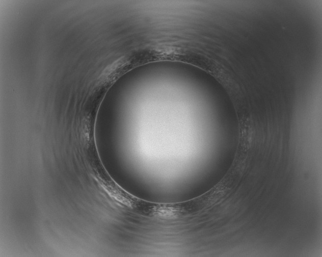 X0000077310710200610201153