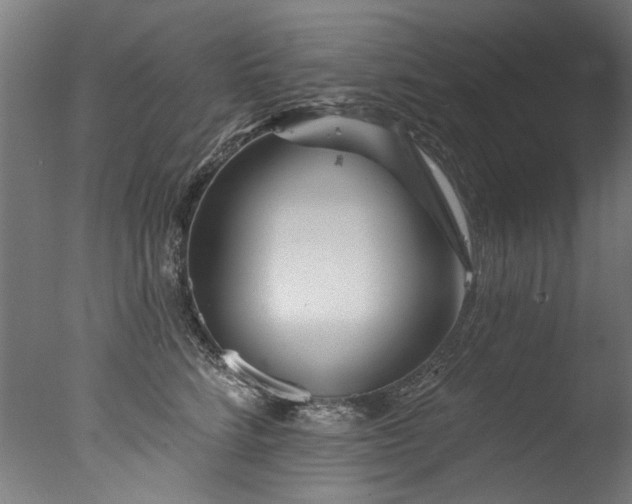 X0000077310712200610201153
