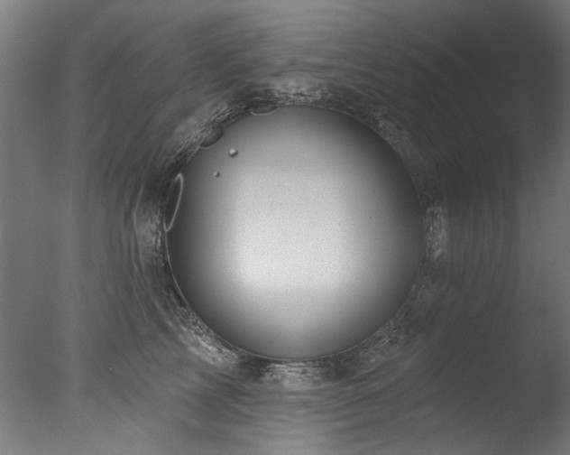 X0000077310713200610201153