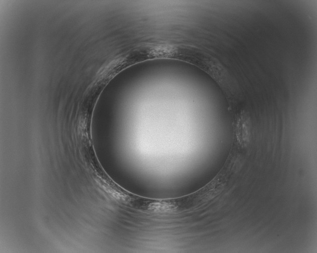 X0000077310714200610201153