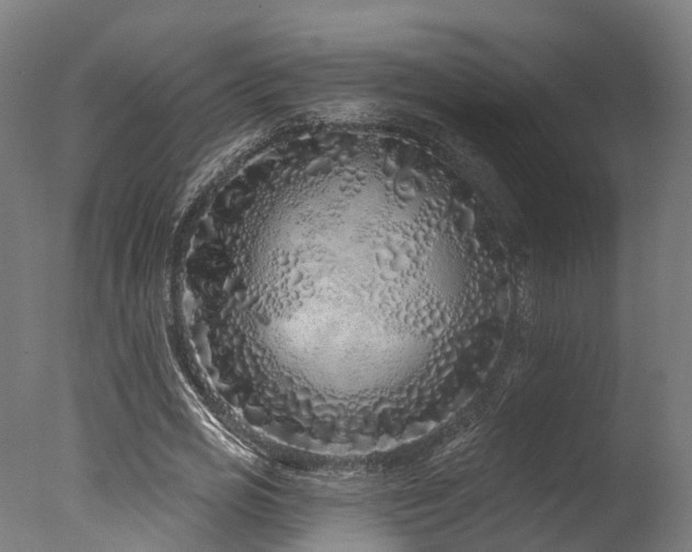 X0000077310725200610201152