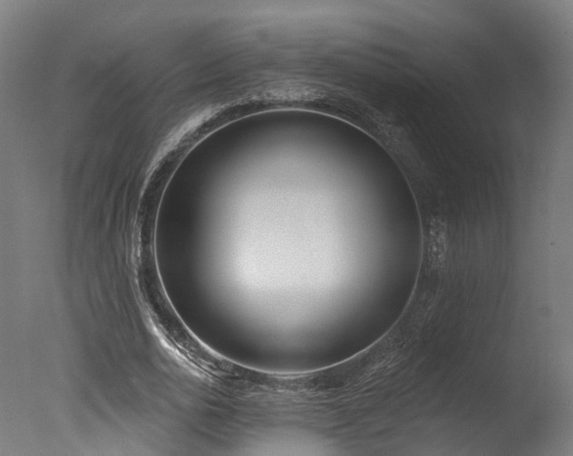 X0000077310726200610201152