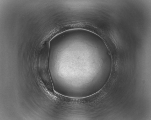 X0000077310729200610201152