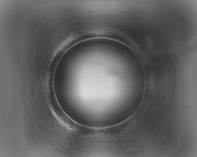 X0000077310730200610201152