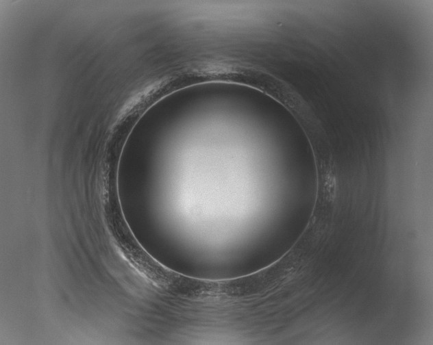 X0000077310732200610201152