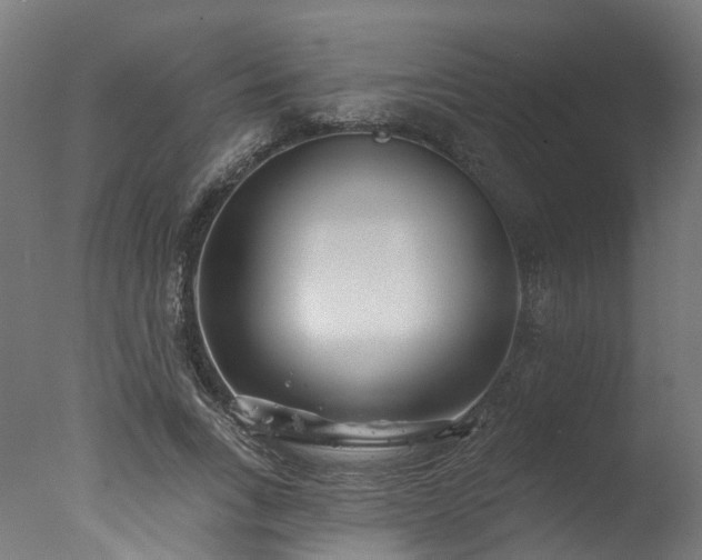 X0000077310735200610201152