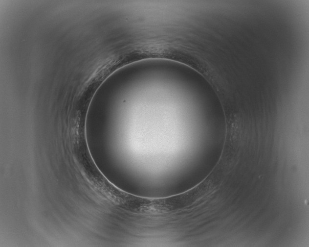 X0000077310739200610201152