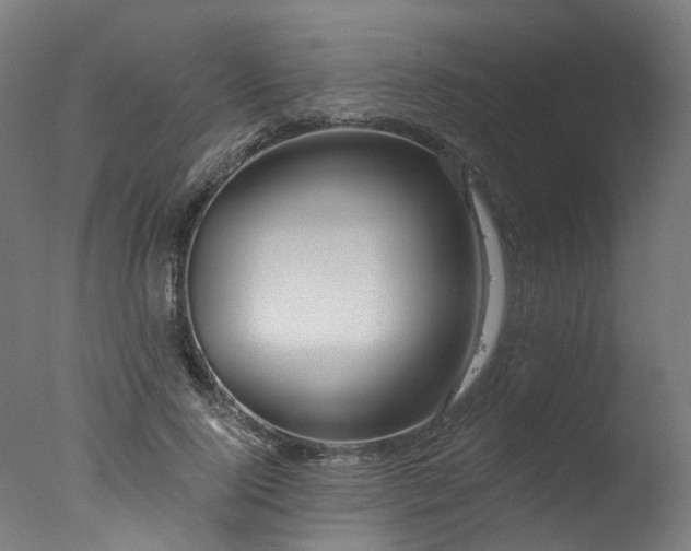 X0000077310740200610201152