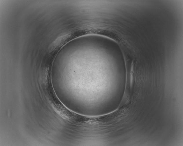 X0000077310742200610201153