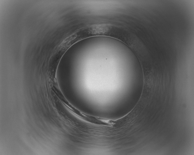 X0000077310743200610201153