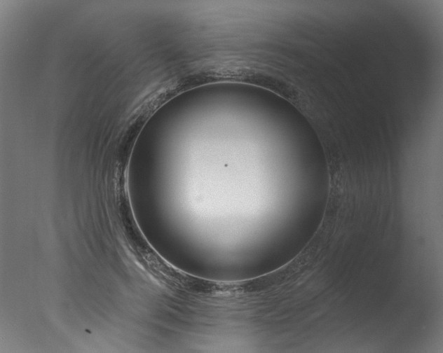 X0000077310744200610201153