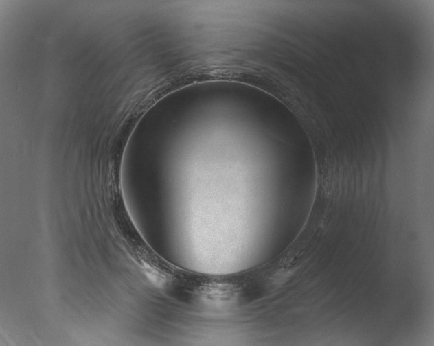 X0000077310748200610201153