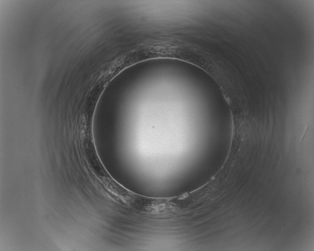 X0000077310752200610201153
