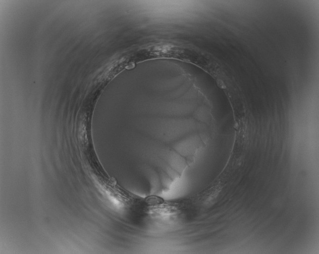 X0000077310754200610201153