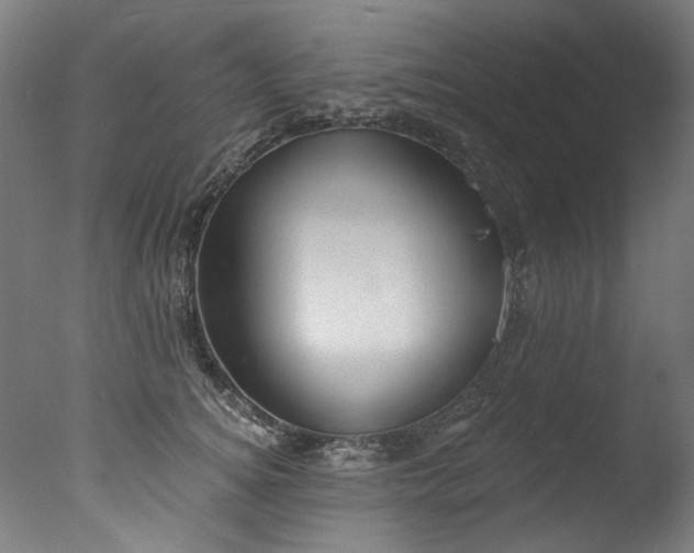 X0000077310756200610201153