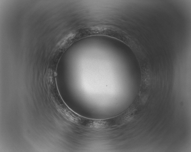 X0000077310758200610201153