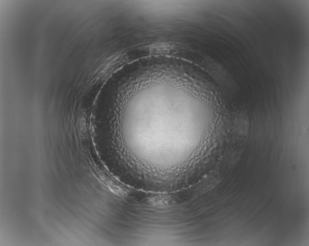 X0000077310761200610201153