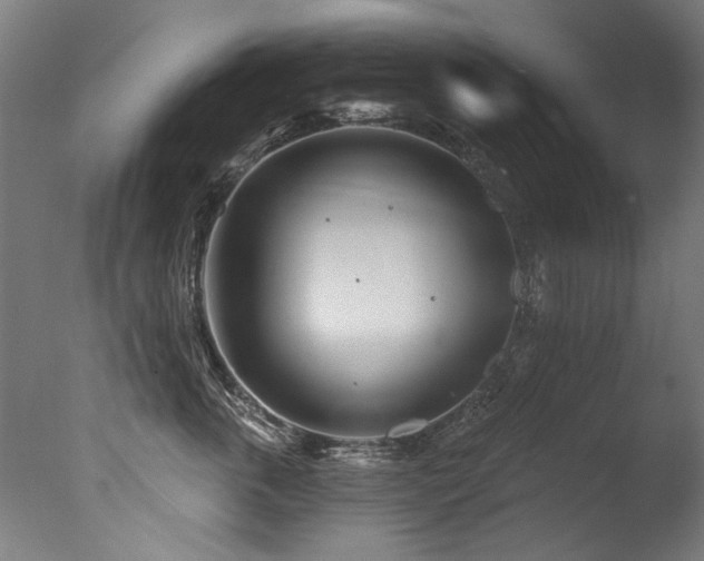 X0000077310763200610201153