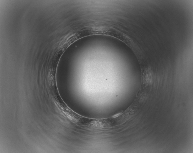 X0000077310764200610201153