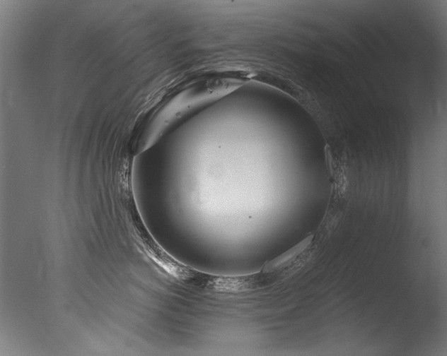 X0000077310766200610201153