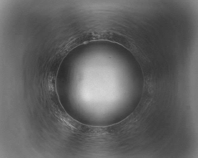 X0000077310770200610201152
