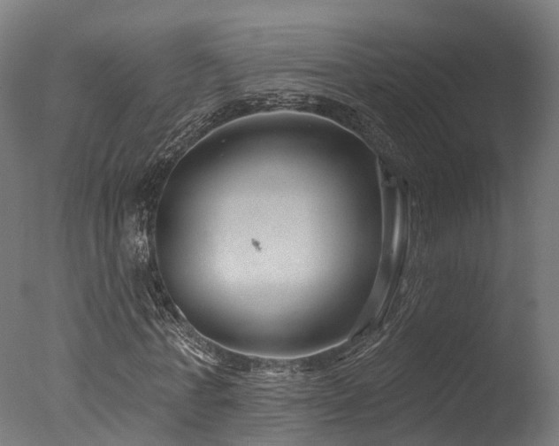 X0000077310771200610201152
