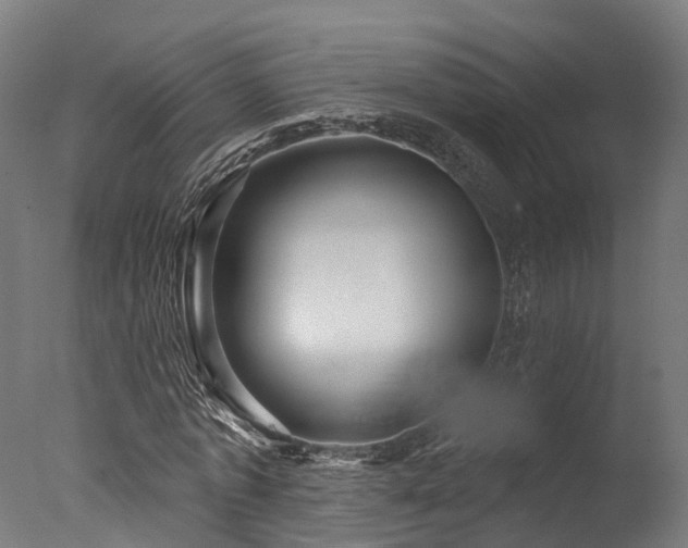 X0000077310773200610201152