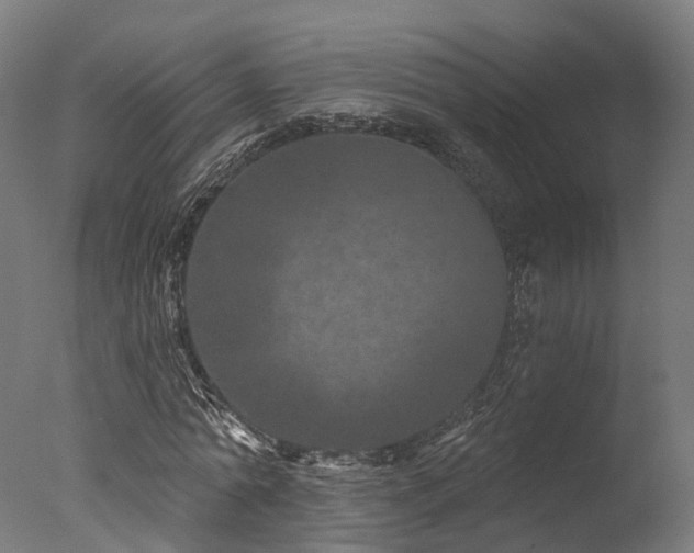 X0000077310774200610201152