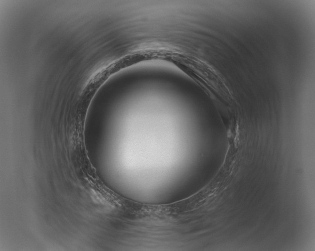X0000077310775200610201152