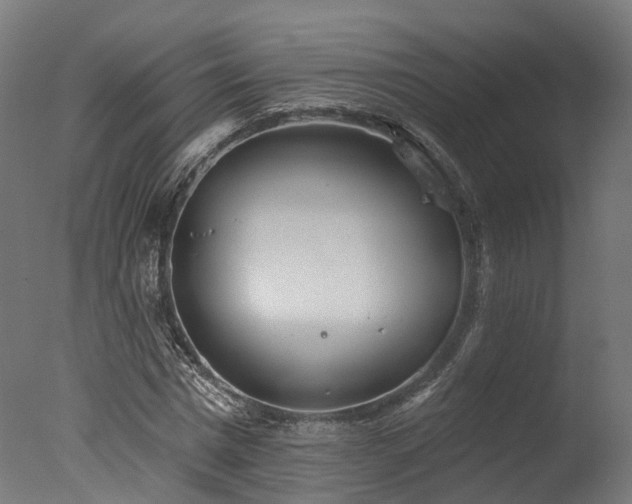 X0000077310777200610201152