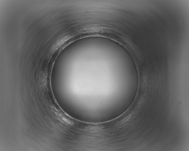 X0000077310778200610201152
