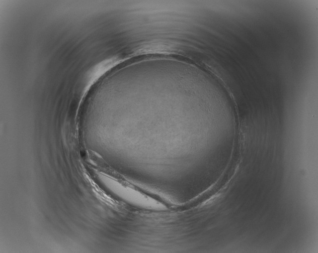X0000077310779200610201152