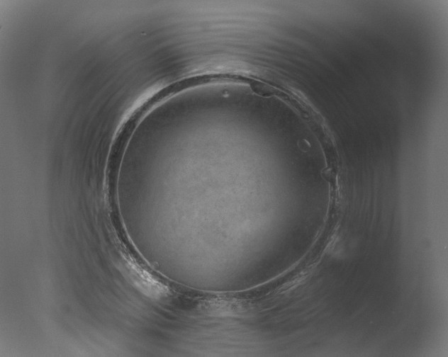 X0000077310780200610201152