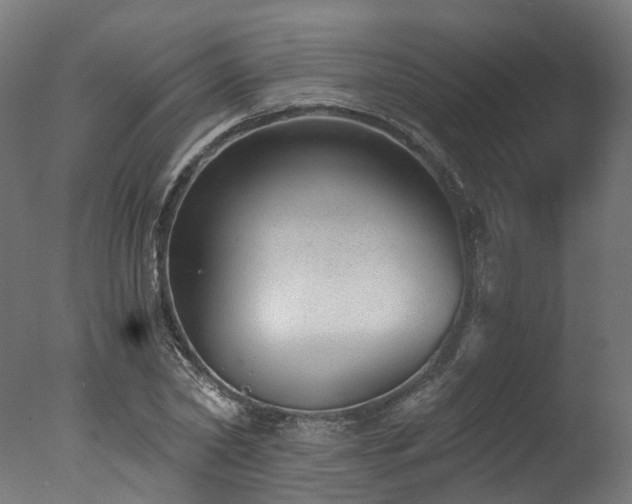 X0000077310782200610201152