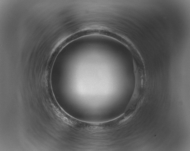 X0000077310783200610201152