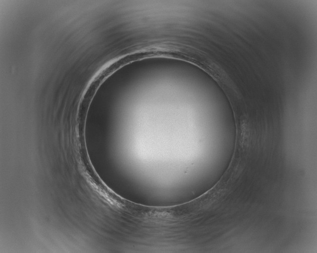X0000077310784200610201152