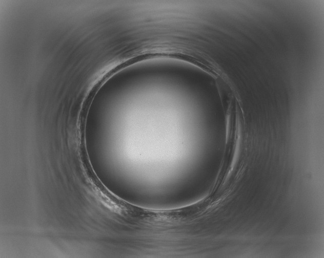 X0000077310787200610201152