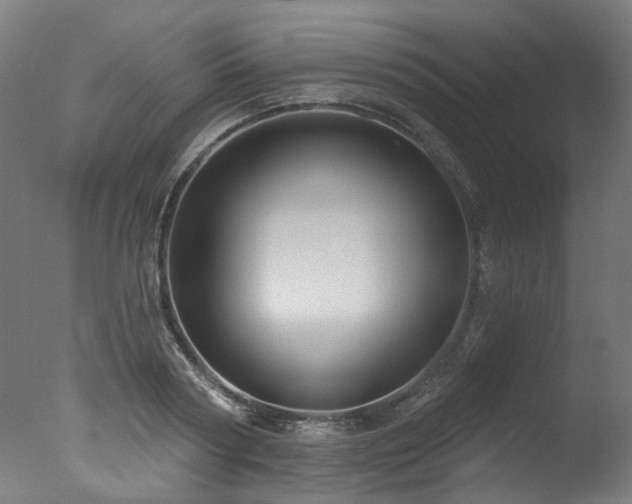 X0000077310794200610201152