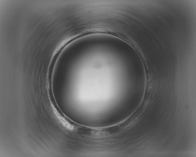 X0000077310795200610201152