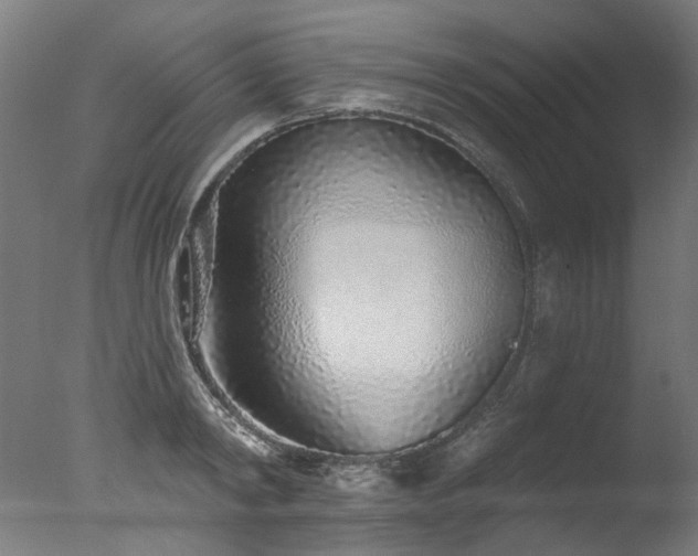 X0000077310798200610201152