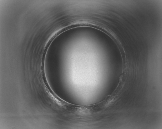 X0000077310799200610201152