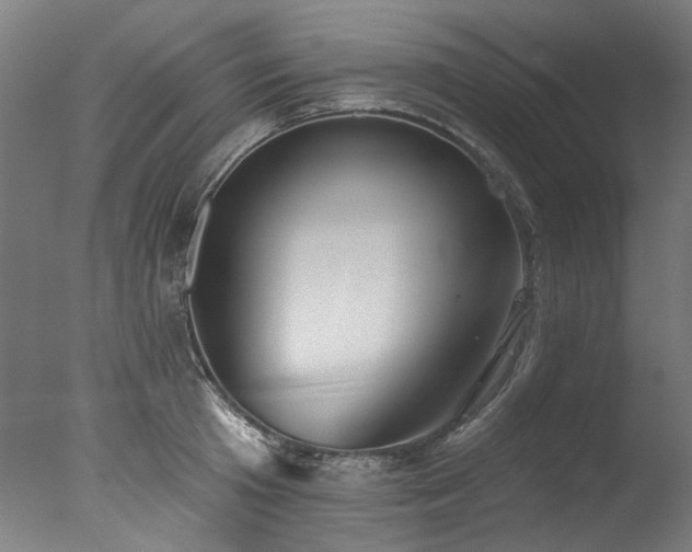 X0000077310801200610201152