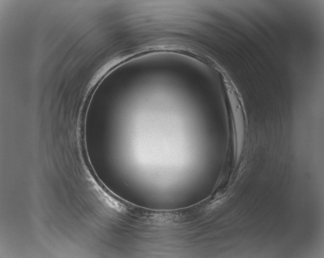 X0000077310803200610201152