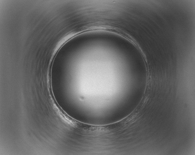 X0000077310811200610201151